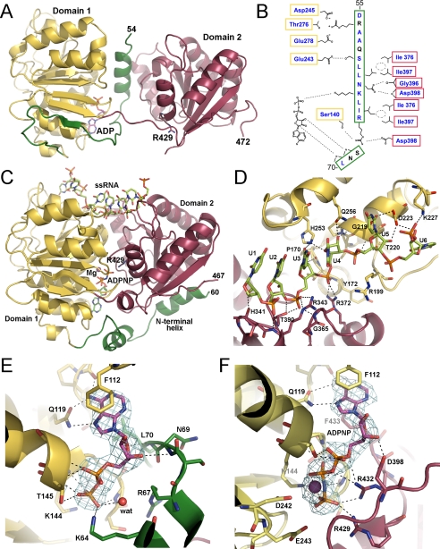 FIGURE 1.