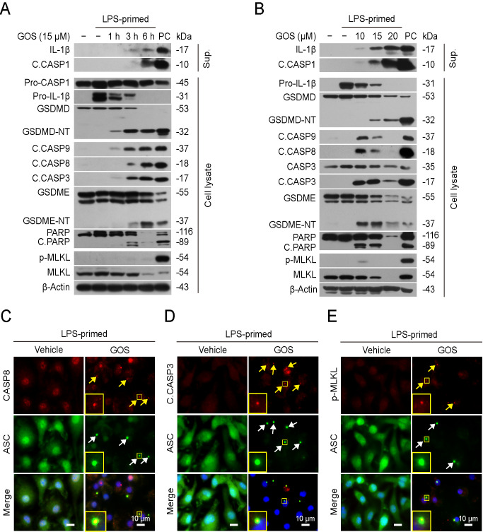 
Figure2
