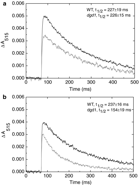 Fig. 6