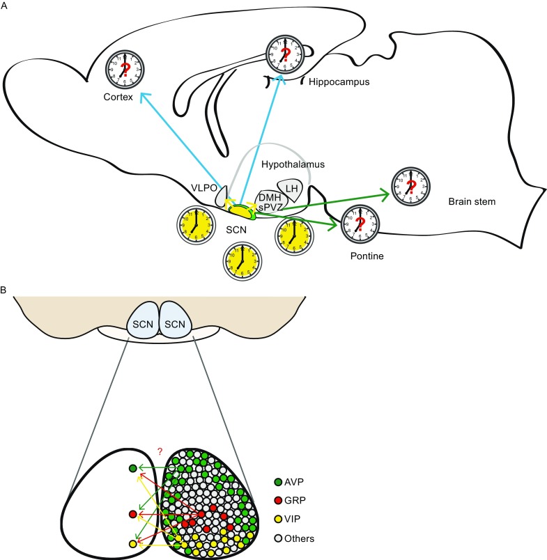 Figure 2