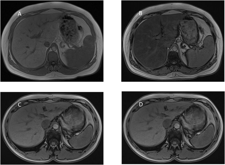 FIGURE 4