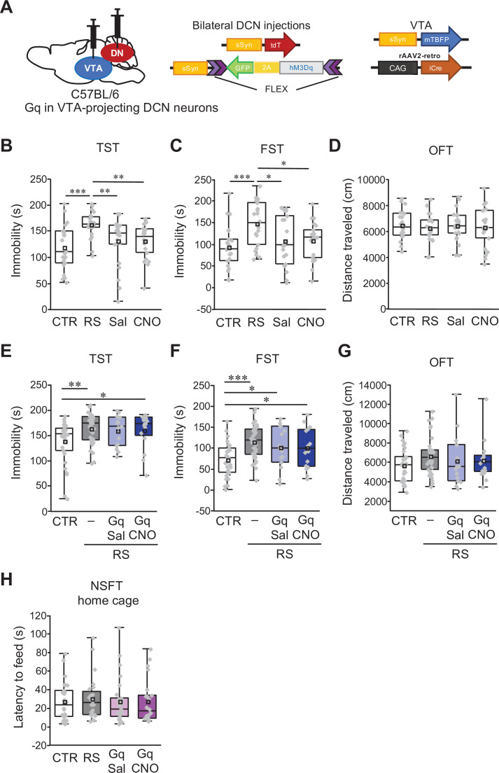 Figure 7—figure supplement 1.