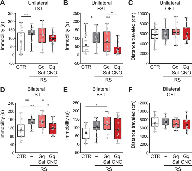 Figure 2—figure supplement 1.