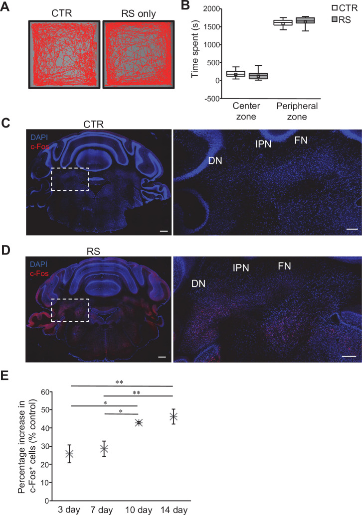 Figure 1—figure supplement 1.