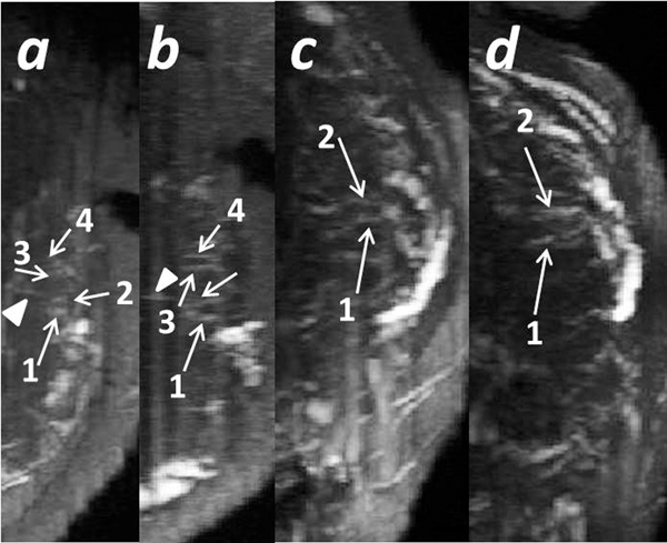 Fig 5.