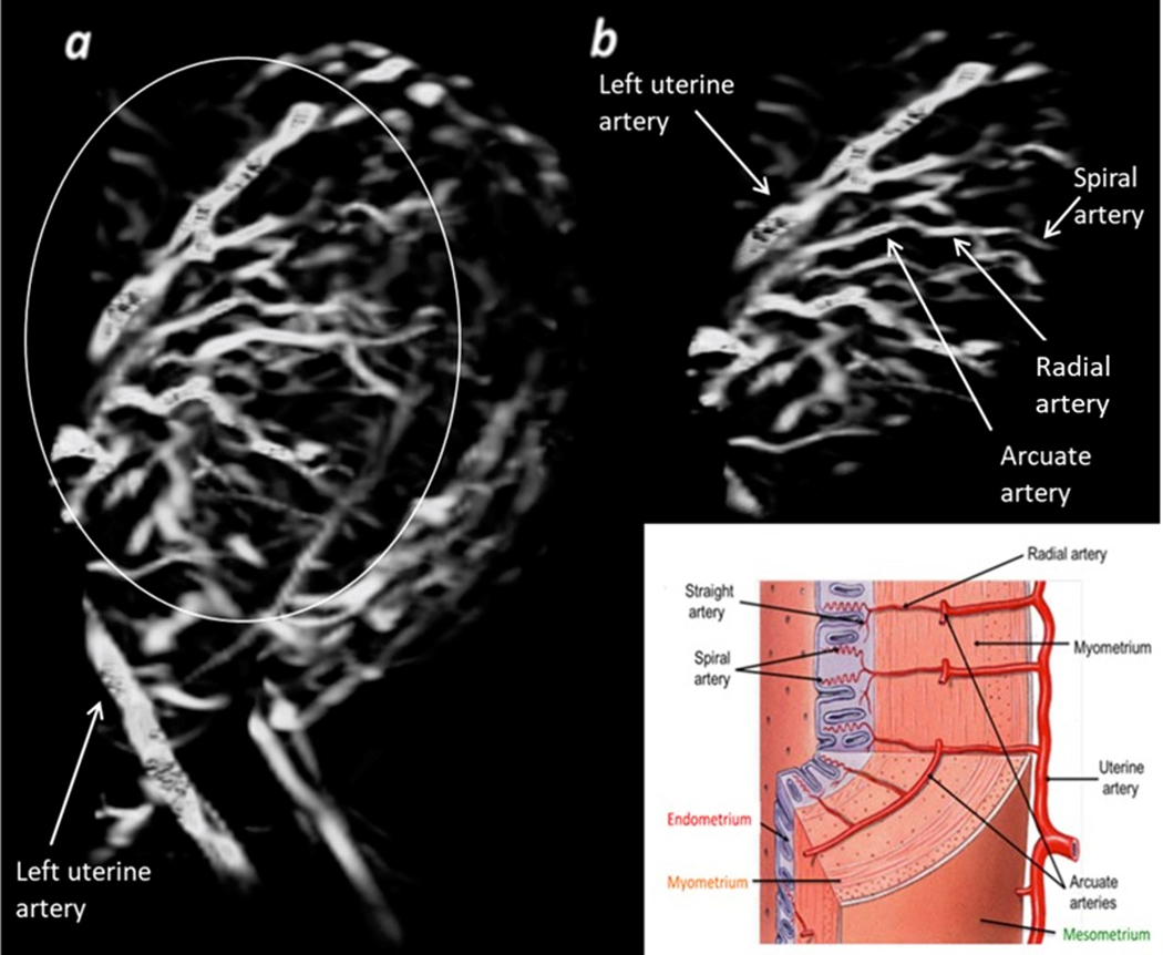 Fig 2.