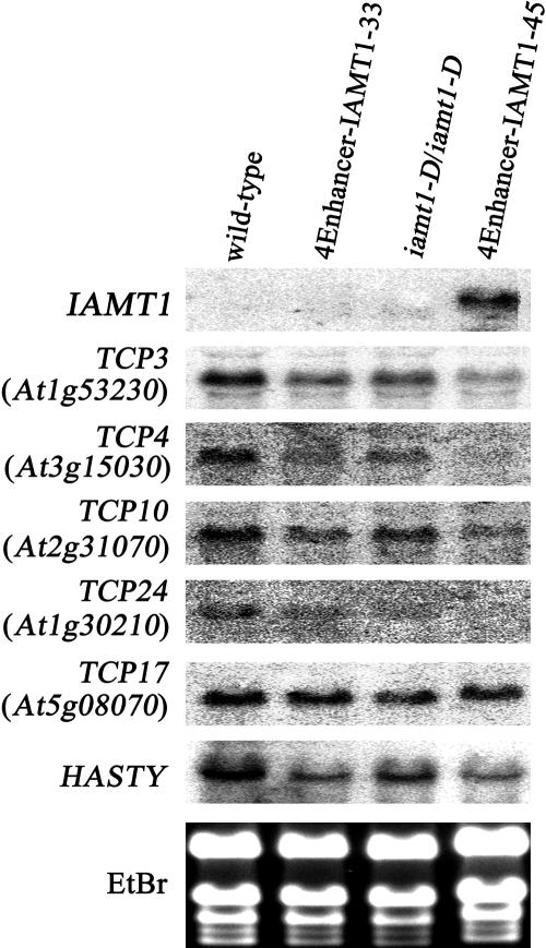 Figure 6.