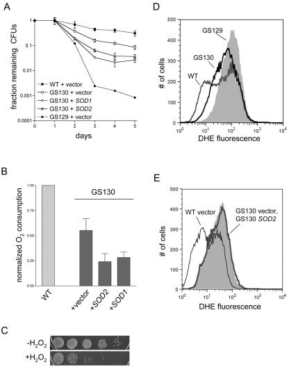 FIG. 7.