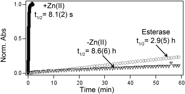 Fig. 6.