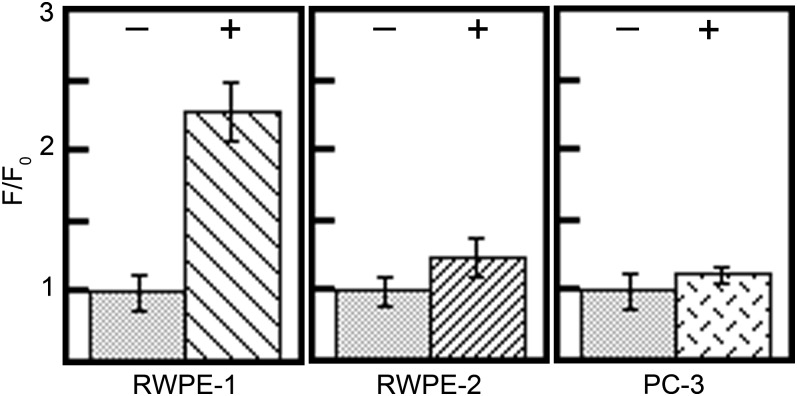 Fig. 8.