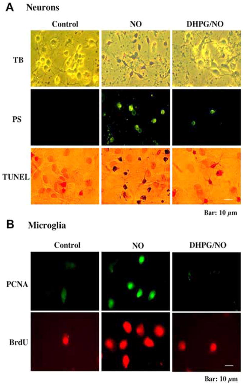 Fig. (1)