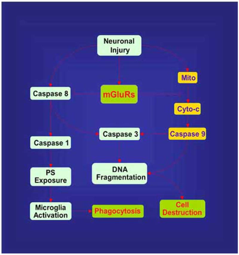 Fig. (3)