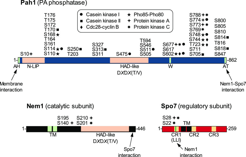 Figure 2.