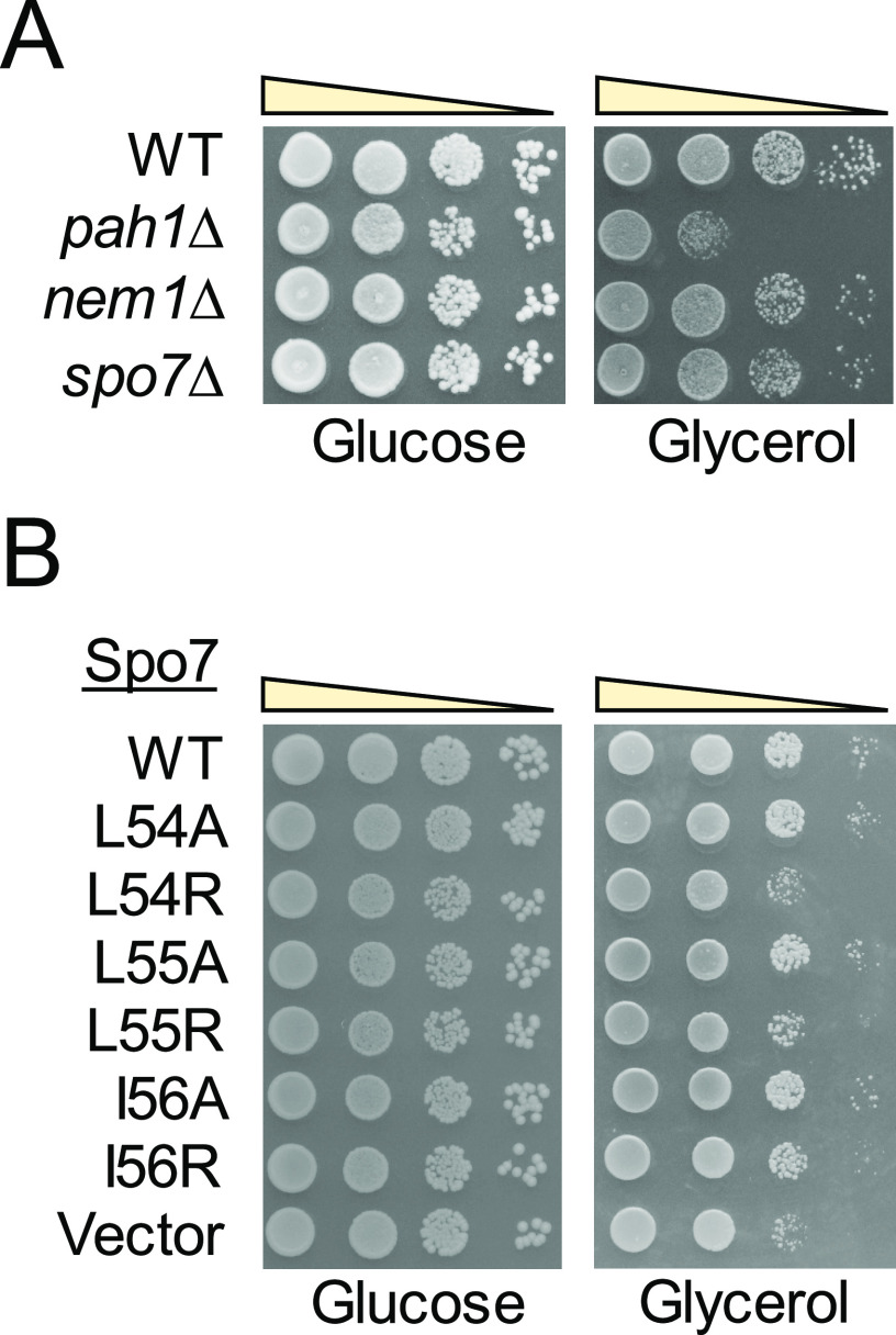 Figure 10.