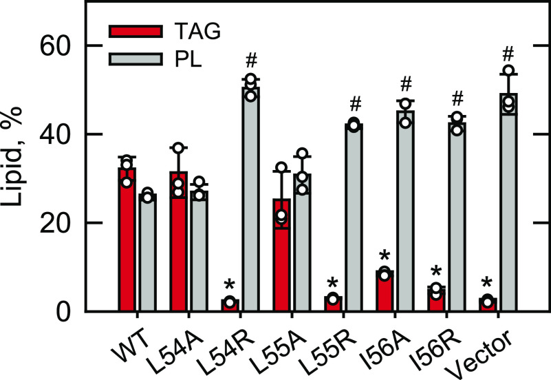 Figure 6.