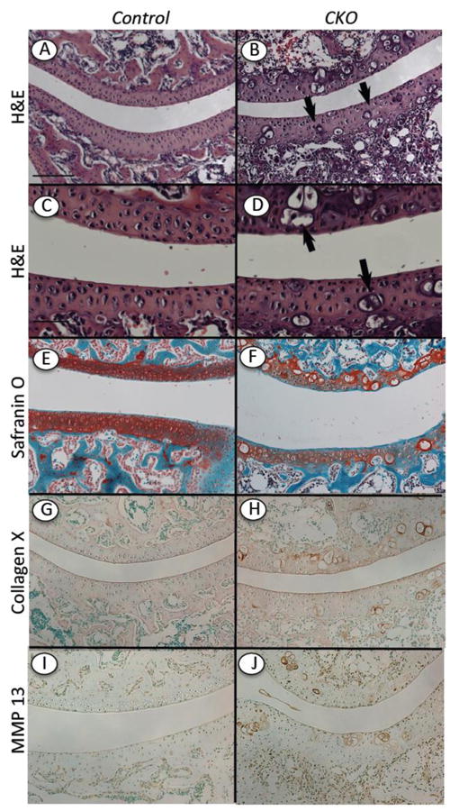 Fig.7