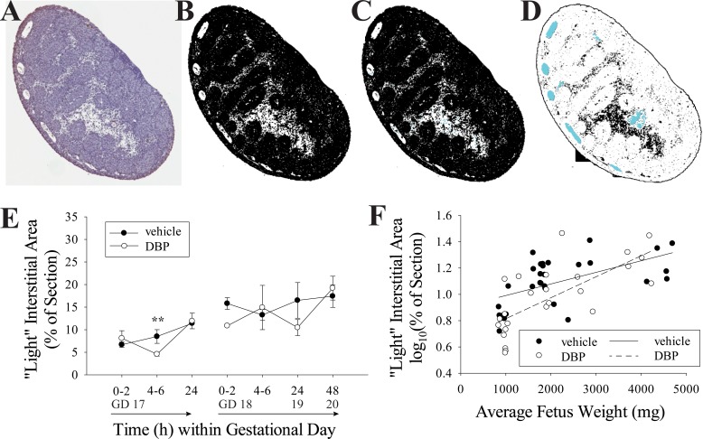 FIG. 5