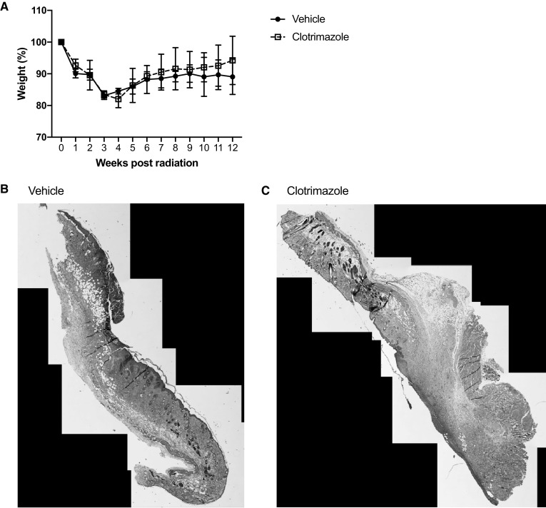 Fig. 9