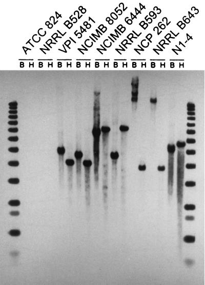 FIG. 1