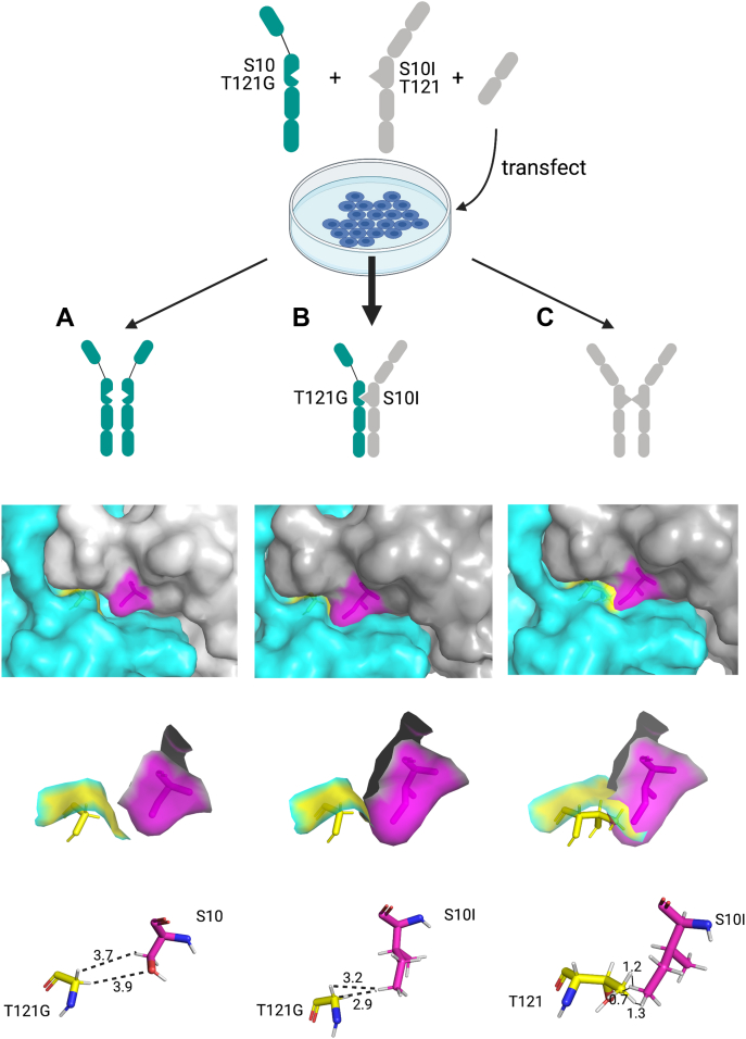 Figure 2