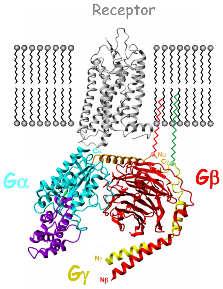 Fig. 1