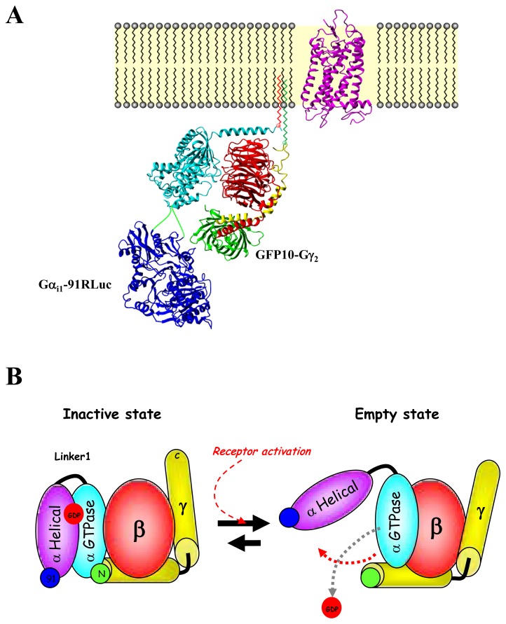 Fig. 7