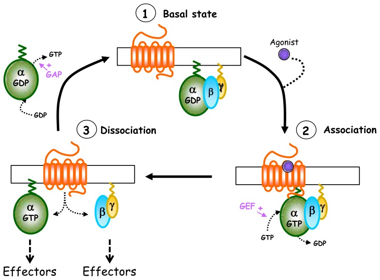 Fig. 2