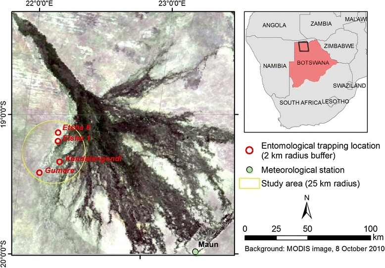 Fig. 1