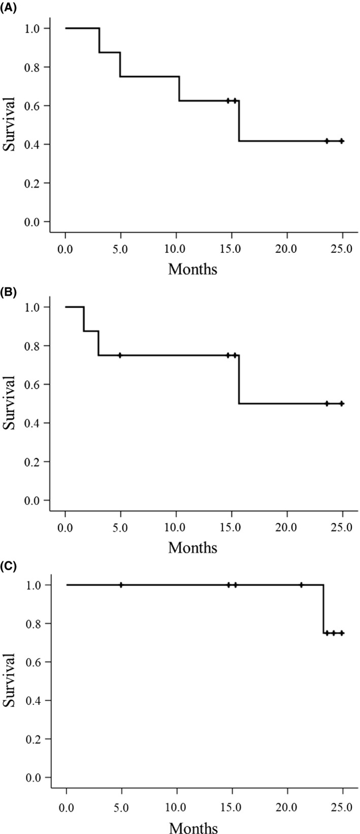 FIGURE 3