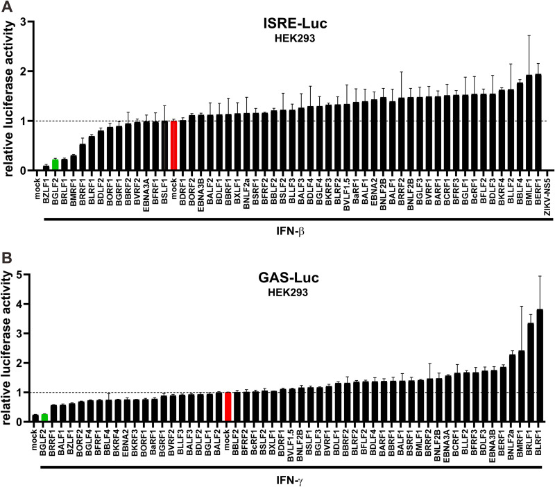 FIG 2