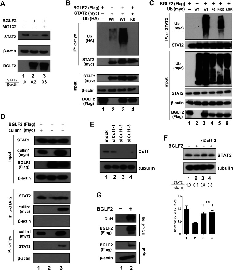 FIG 8