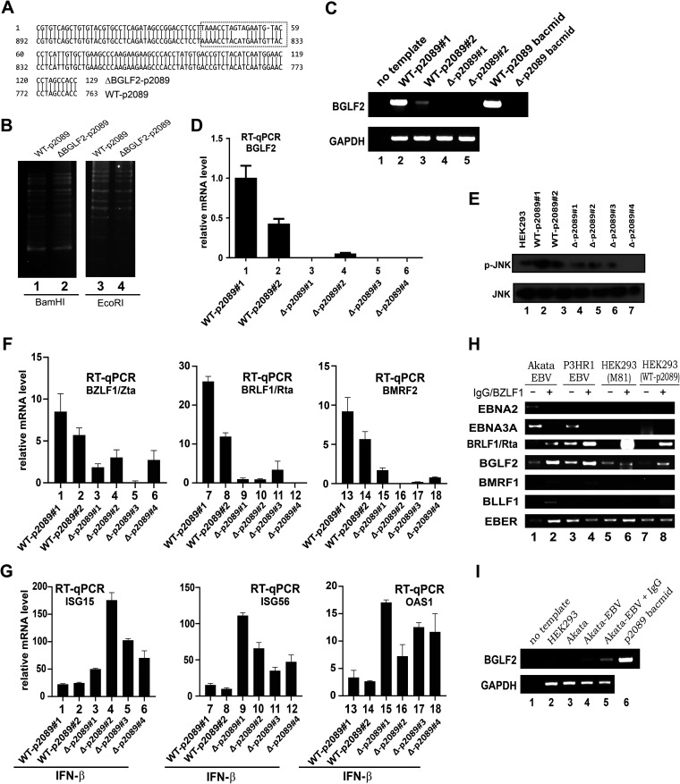 FIG 10