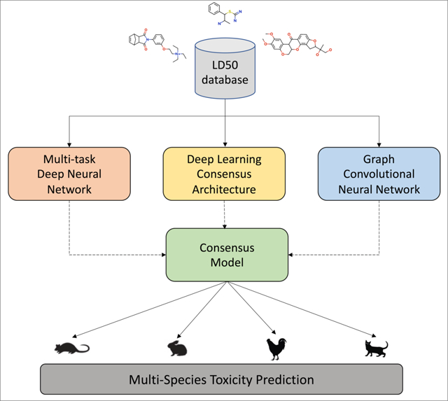 graphic file with name nihms-1769818-f0001.jpg