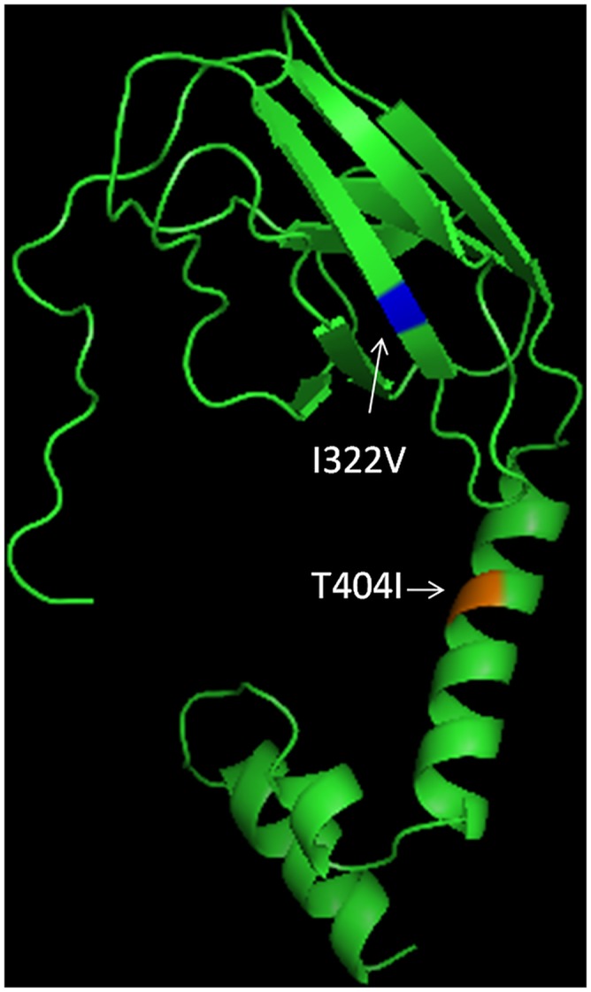 Fig 2