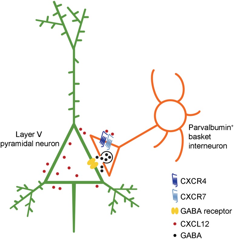 Figure 6.