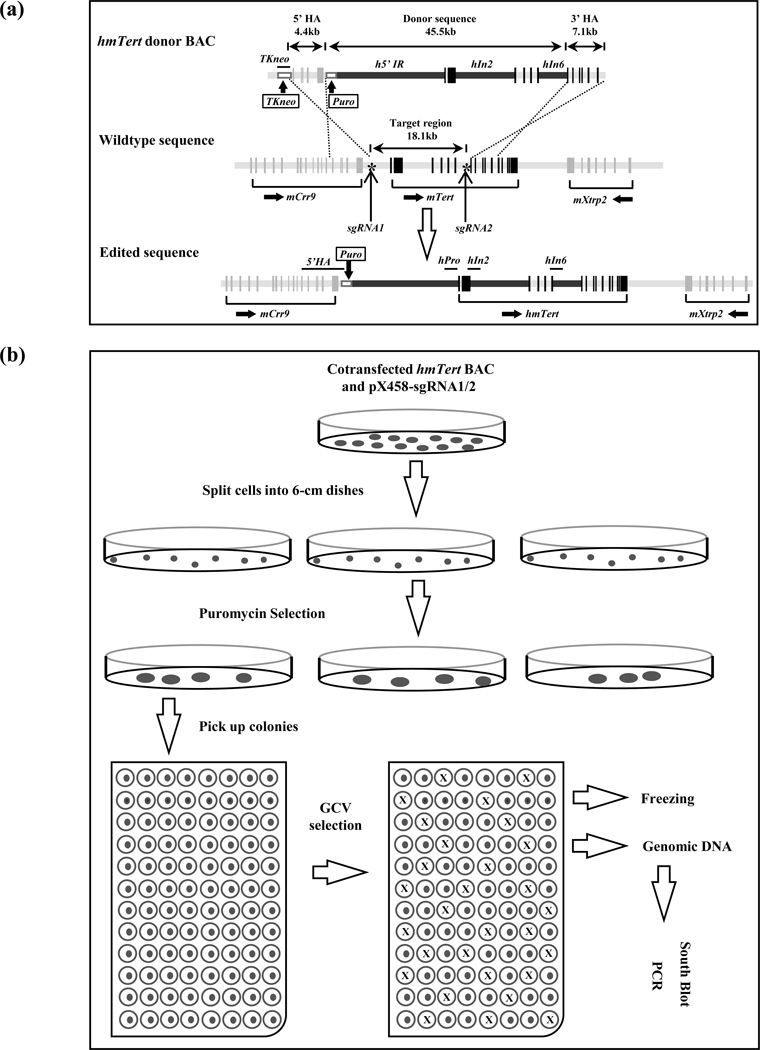 FIGURE 1.