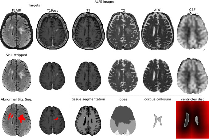 Fig. 5