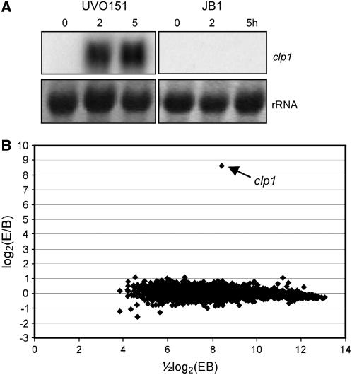 Figure 6.