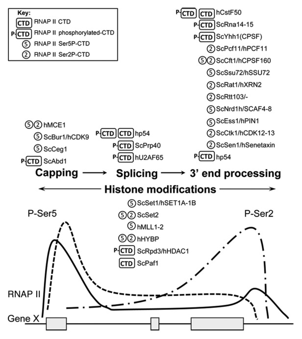 graphic file with name tran-4-146-g2.jpg