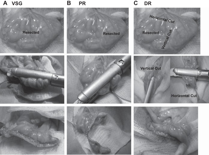 Fig. 1.