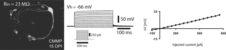 Figure 6.