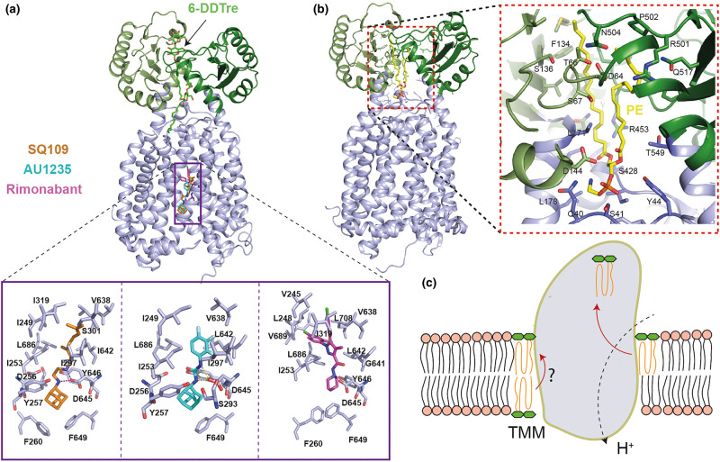 Figure 3.