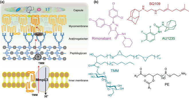 Figure 1.