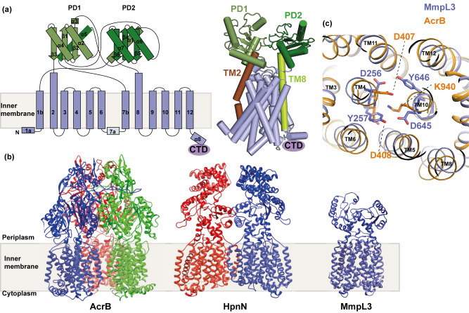 Figure 2.