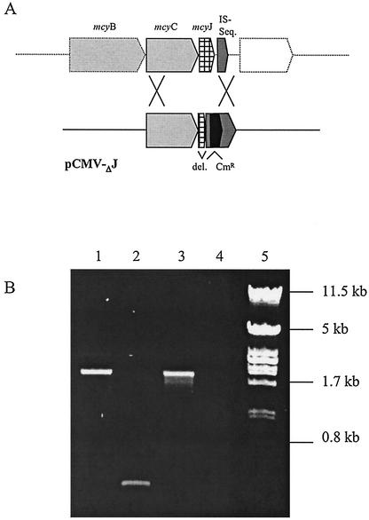 FIG. 4.