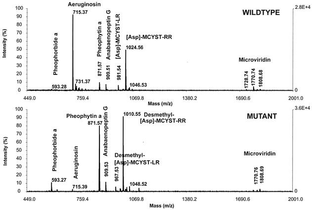 FIG. 5.