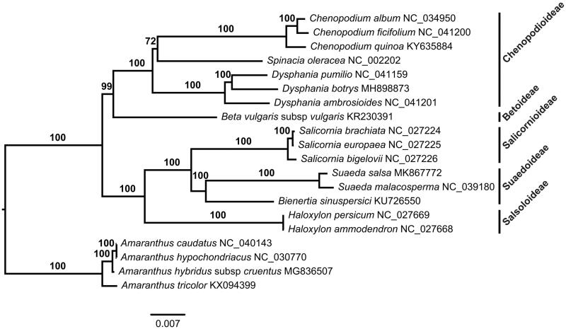 Figure 1.