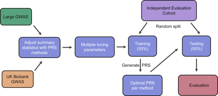 Figure 1