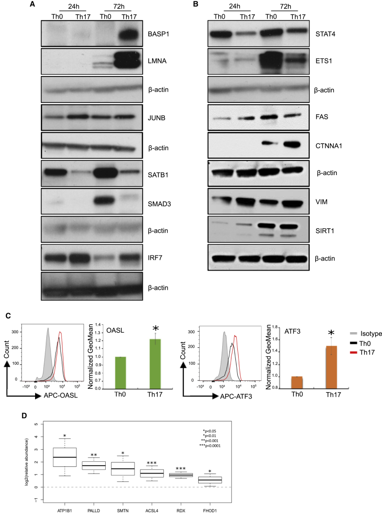 Figure 4