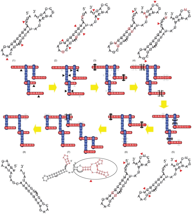 Figure 9